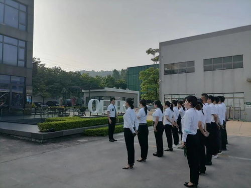 歐哲第22期雛鷹行動精英導(dǎo)購特訓(xùn)營圓滿結(jié)束